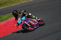 enduro-digital-images;event-digital-images;eventdigitalimages;mallory-park;mallory-park-photographs;mallory-park-trackday;mallory-park-trackday-photographs;no-limits-trackdays;peter-wileman-photography;racing-digital-images;trackday-digital-images;trackday-photos